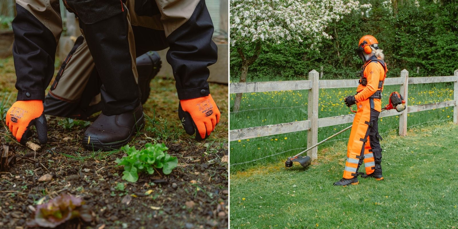 Les risques du jardinier
